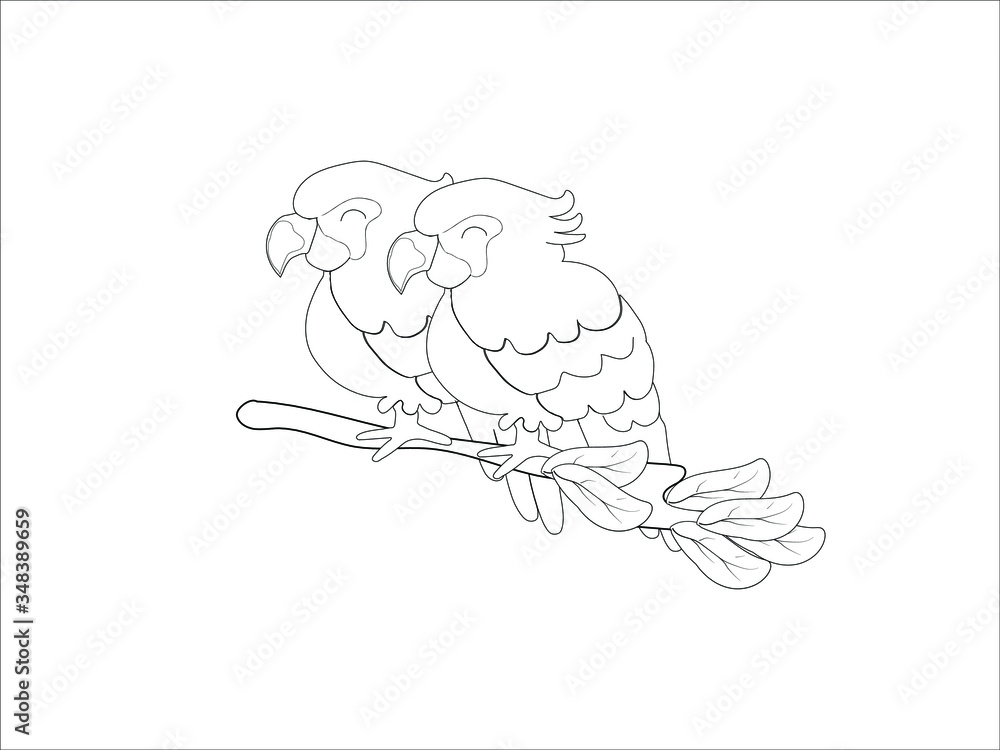 Bird sketches on white background. Bird sketches on white background.