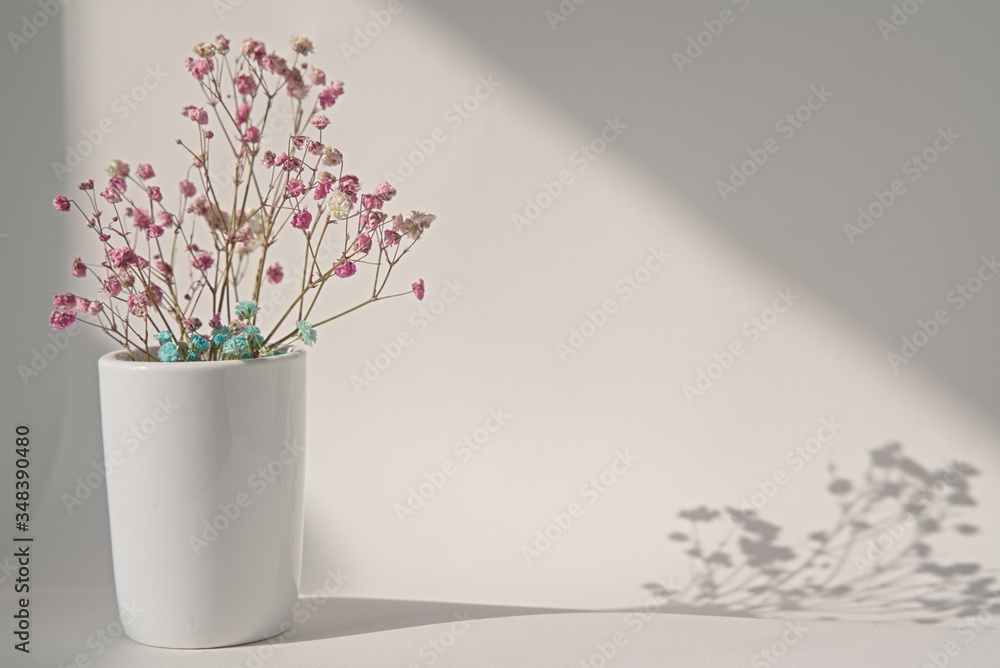 Dried red gypsophila bouquet in vase on white background, interior decoration, copy space