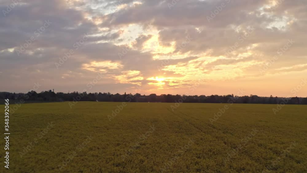 Forward flight with a drone over a yellow blooming rapeseed field into an orange/pink colored sunset with some clouds at the sky in southern germanys countryside with no people. Forward flight with a drone over a yellow blooming rapeseed field into an orange/pink colored sunset with some clouds at the sky in southern germanys countryside with no people.