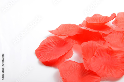 Group of red petals for abstract background / wallpaper