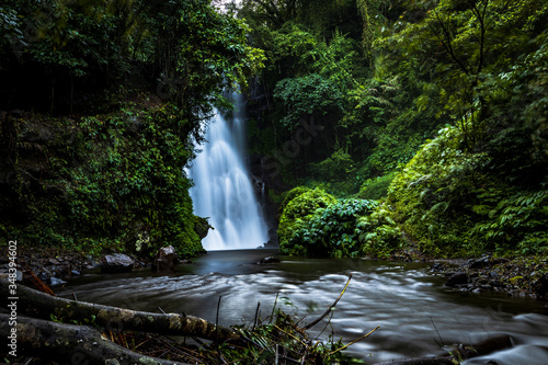 Waterfall landscape. Beautiful hidden Cemara waterfall in tropical rainforest in Sambangan, Bali. Slow shutter speed, motion photography.