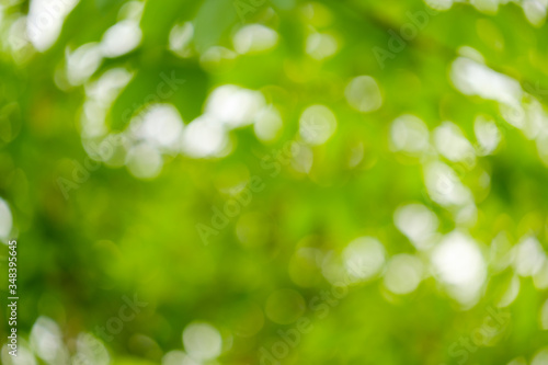 Light of out focus Blurred background.Bokeh from natural green leaves