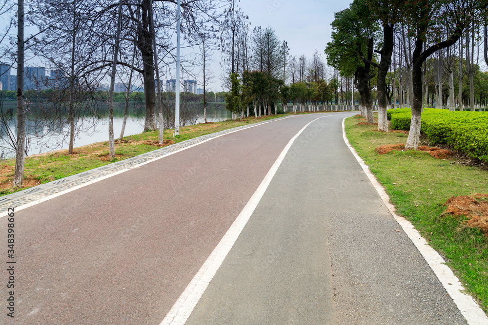 Fototapeta premium Walking path in forest. Walking path in woods