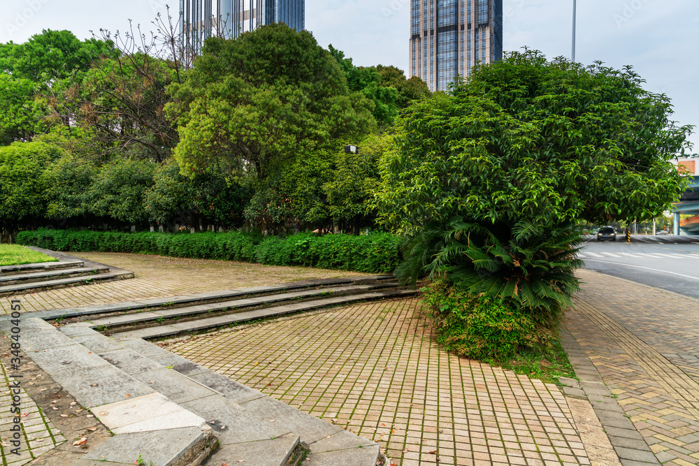 city park with modern building background in shanghai