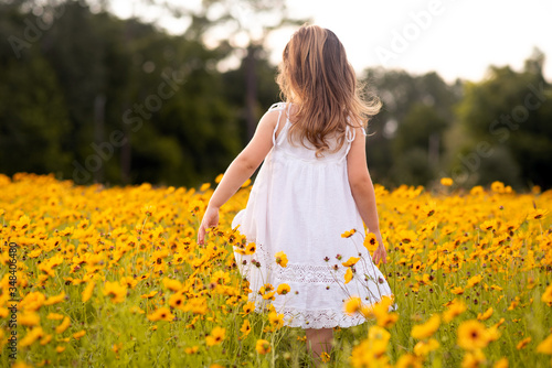 Little toddler girl in a white dress walking and picking flowers in a black eye Susan flower field. Child in a flower meadow at sunset with yellow flowers. © Tanya