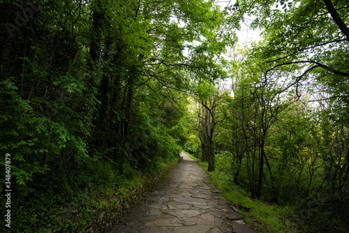 Old path way between trees in the forest near Madara  Bulgaria. Beautiful spring landscape