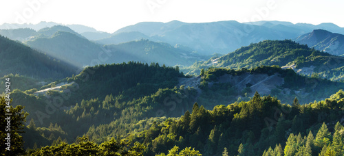 View of the hills, mountains, forest and valleys and many peaks of Armstrong Woods in California USA