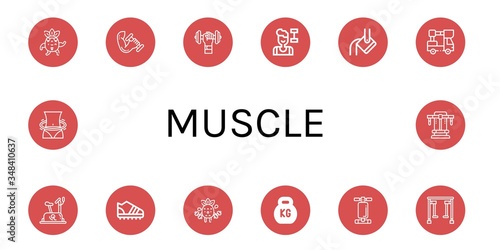 Set of muscle icons