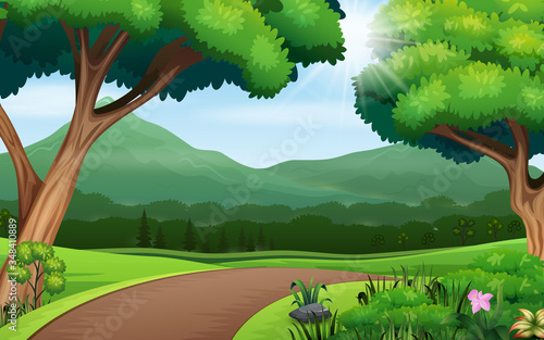 Nature background with path road and trees