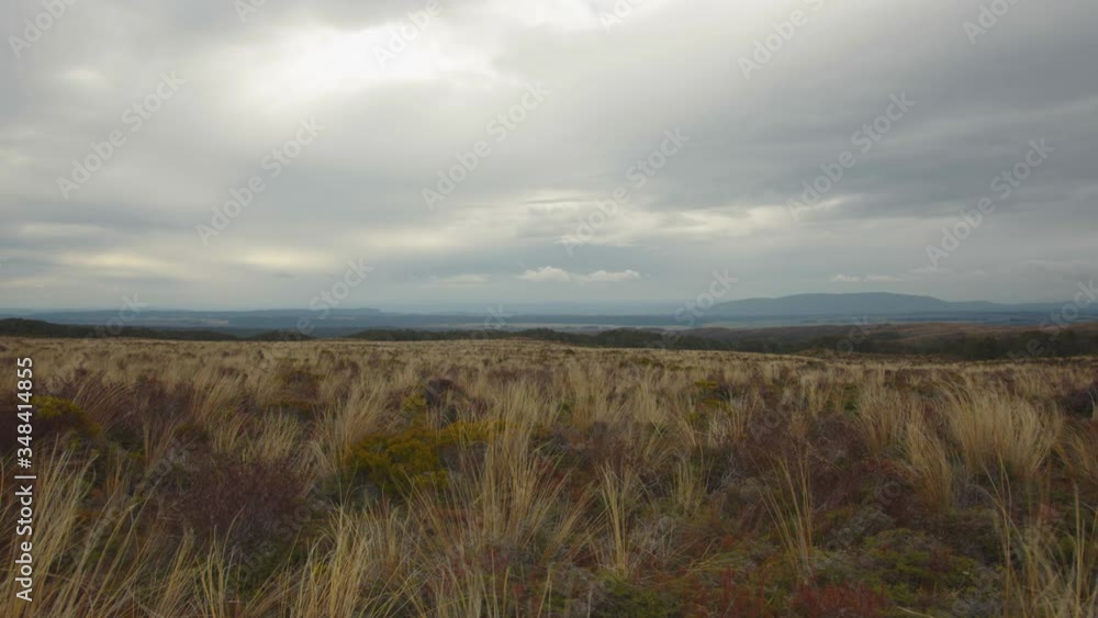 Field in Tongariro National Park , New Zealand // Static Shot Field in Tongariro National Park , New Zealand // Static Shot