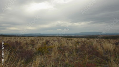 Field in Tongariro National Park , New Zealand // Static Shot photo