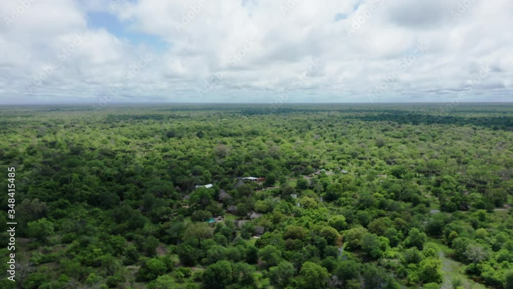 Aerial drone shot flying forward over the dense Selous jungle in Tanzania. Aerial drone shot flying forward over the dense Selous jungle in Tanzania.