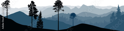 grey panorama with trees in mountains