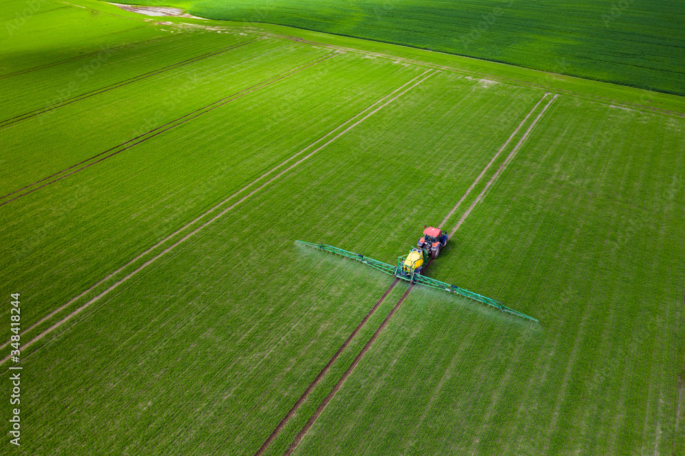 Fototapeta Tractor cultivating green field