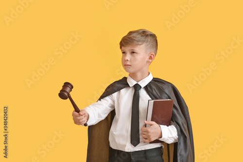 Portrait of little judge on...