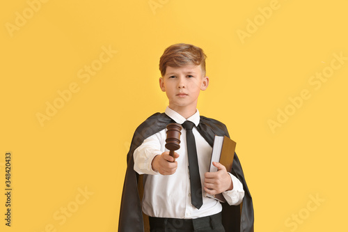 Portrait of little judge on...
