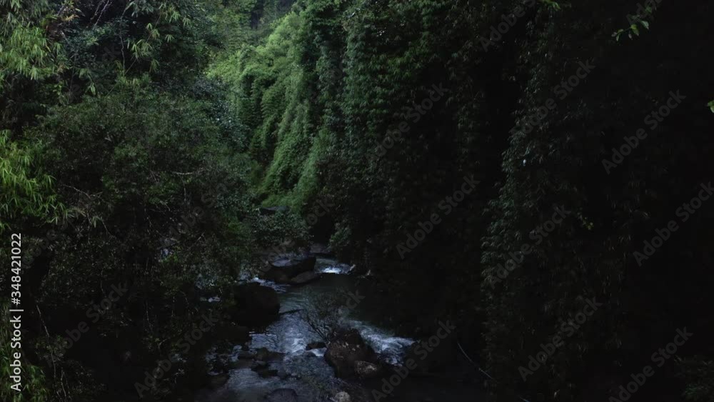 stream winding through dense rainforest revealed from the canopy, AERIAL stream winding through dense rainforest revealed from the canopy, AERIAL