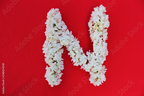 Obraz na płótnie Letter N made from flowers of white lilac on a red background. Flowers composition. Flat lay. Letter N made of white flowers. Spring concept. Floral letters of the alphabet for design and decorati w salonie