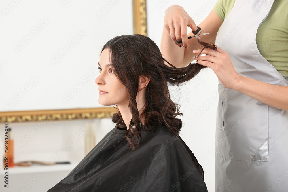 Fototapeta premium Professional hairdresser working with client in beauty salon