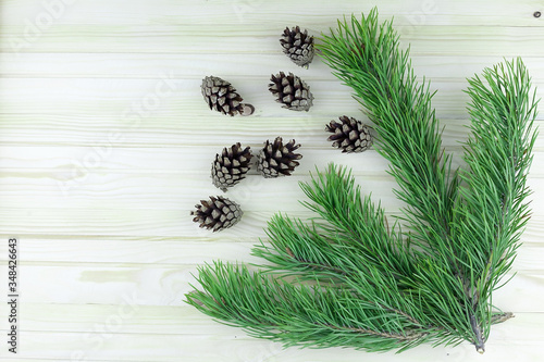 Foto Many cedar cones texture