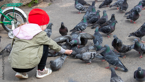 The girl turned to face the pigeons, squatted down, and began to feed them grain with her hand.