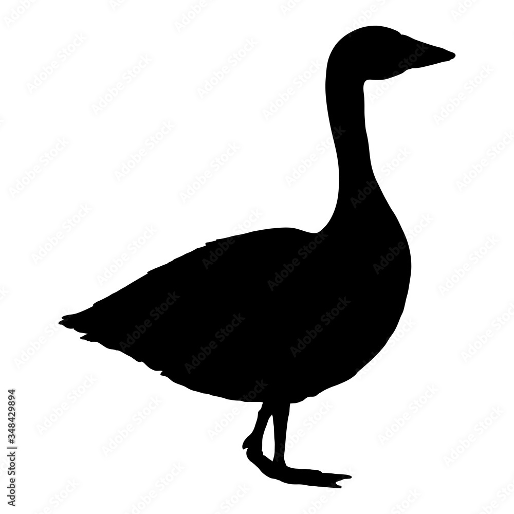 Vector Black Silhouette Goose Illustration Vector Black Silhouette Goose Illustration