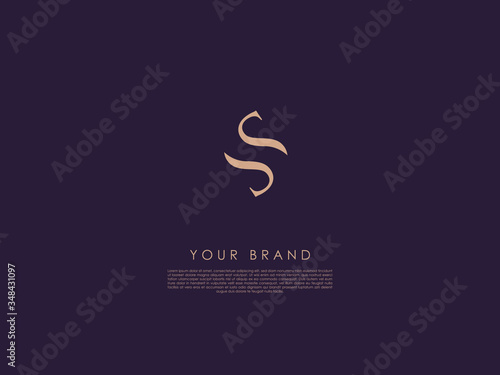 a business logo consists of two wavy lines one under the other and represents letter 'S'