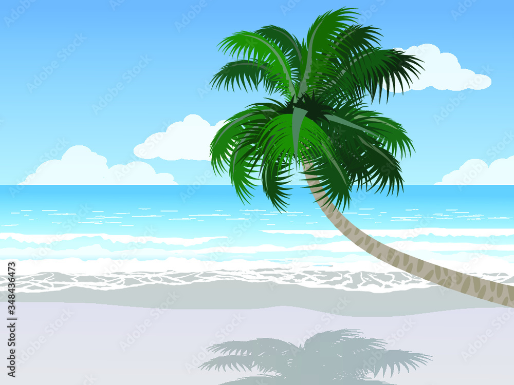 summer landscape with palm tree on the beach