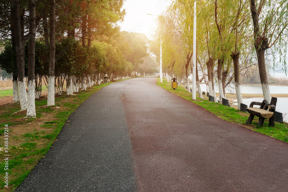 Obraz premium Walking path in forest. Walking path in woods
