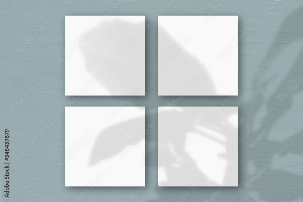4 square sheets of white textured paper on the blue wall background. Mockup overlay with the plant shadows. Natural light casts shadows from an exotic plant. Flat lay, top view