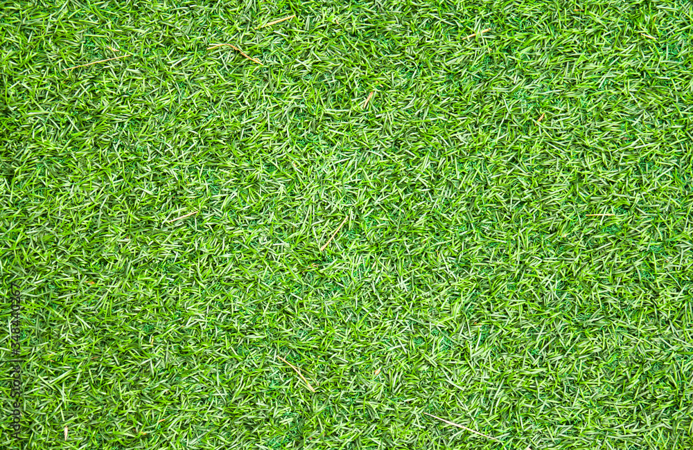 Fototapeta premium green grass background