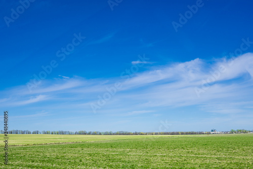 green field against the blue sky