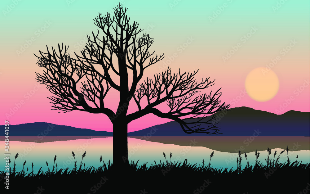 Obraz premium silhouette of tree