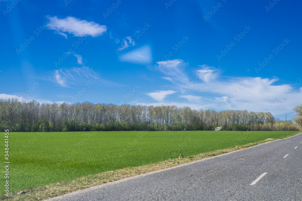 landscape of trees and road against the blue sky