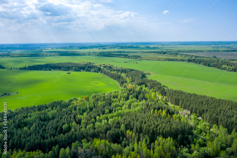 Obraz premium Aerial photography of a beautiful landscape of spring agricultural fields with bright green shoots of grain crops
