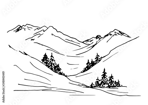 Hand-drawn black outline vector drawing. Wildlife, mountain view, conifers, spruce. Natural landscape, gorge. Hiking, pass. The nature of the mountainous northern countries.
