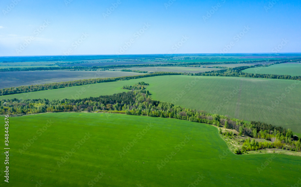Aerial photography of a beautiful landscape of spring agricultural fields with bright green shoots of grain crops