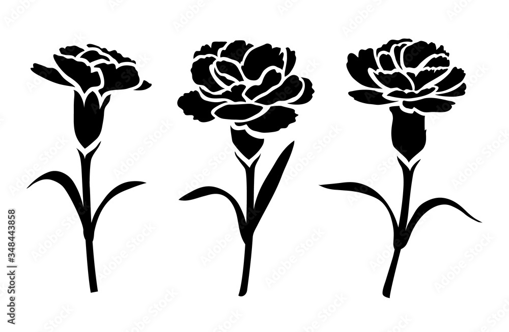 Flower icon. Set of decorative carnation silhouettes isolated on white
