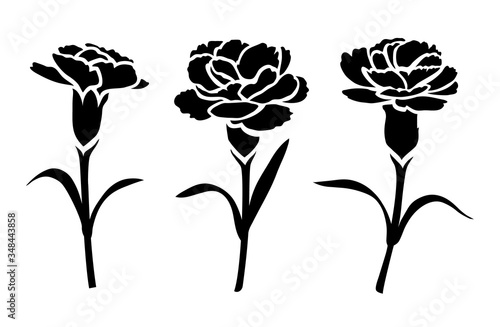 Flower icon. Set of decorative carnation silhouettes isolated on white. Vector stock illustration.
