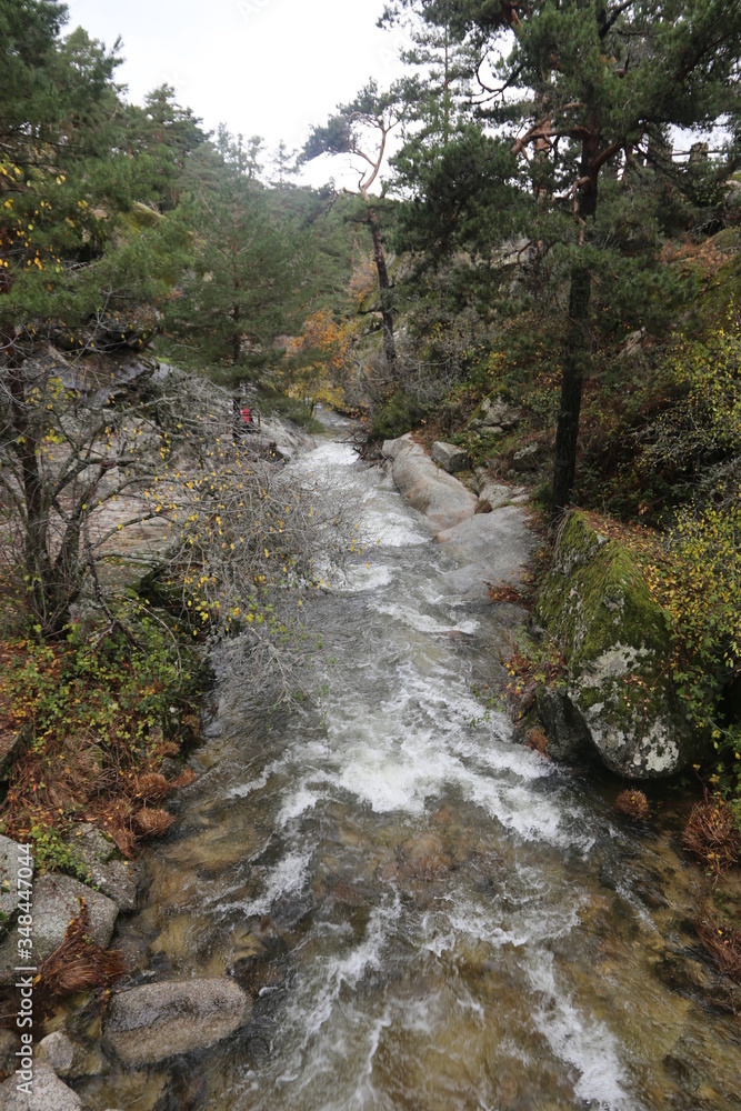Río Navacerrada Río Navacerrada