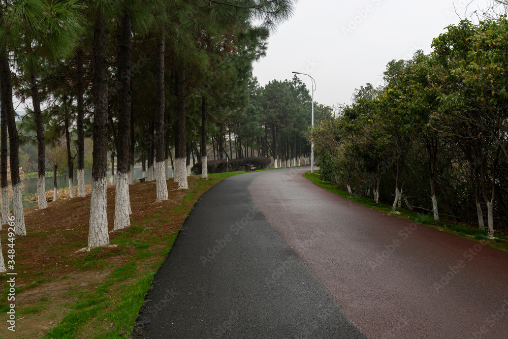 Walking path in forest. Walking path in woods Walking path in forest. Walking path in woods