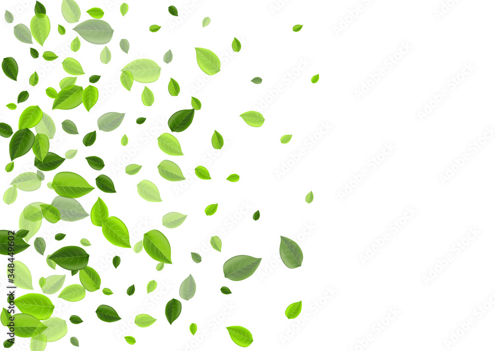 Forest Greens Abstract Vector Concept. Motion 
