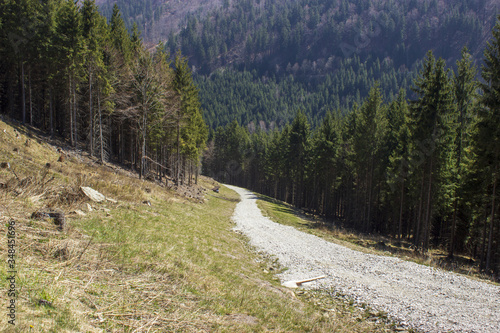 Sunlit stone path in beskydy bily kriz photo