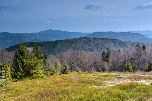 Gorce - polana Adamówka widok na Mogielicę , Kiczorę i Wielki WIerch