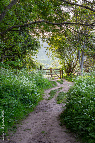 Looking along a pathway in the Sussex countryside on a sunny spring evening