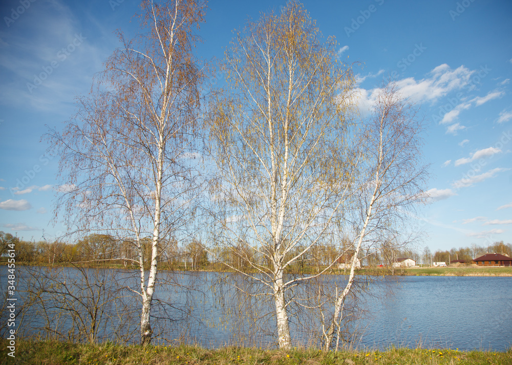 Spring landscape near the river