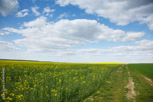The rural landscape in the spring