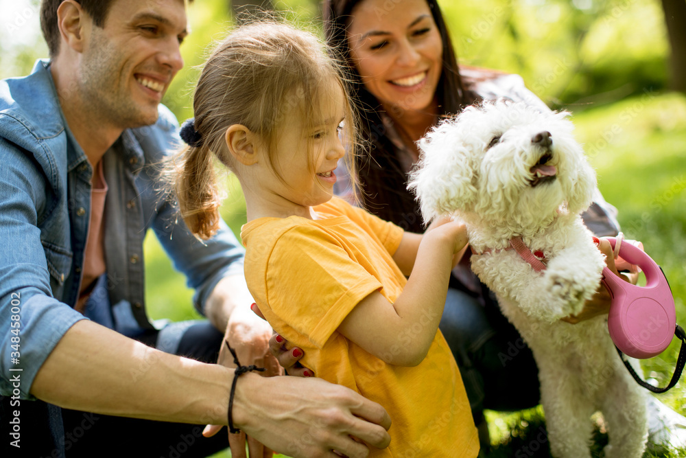 Beautiful happy family is having fun with maltese dog outdoors Beautiful happy family is having fun with maltese dog outdoors