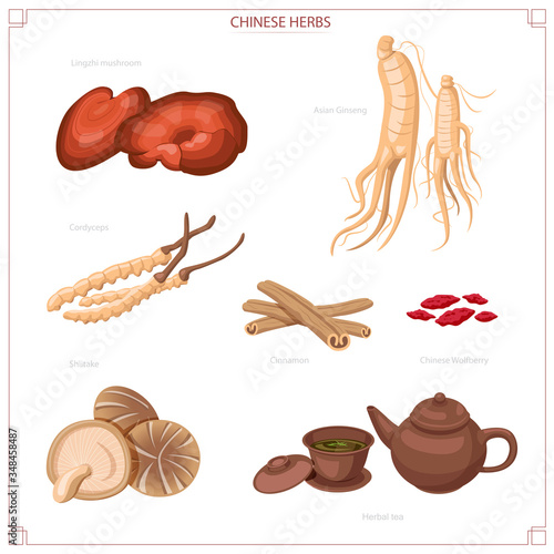 Chinese herbs, Chinese wisdom for thousands of years Contains beneficial plants that support longevity, such as ginseng, reishi, cordyceps, shitake mushrooms and tea.