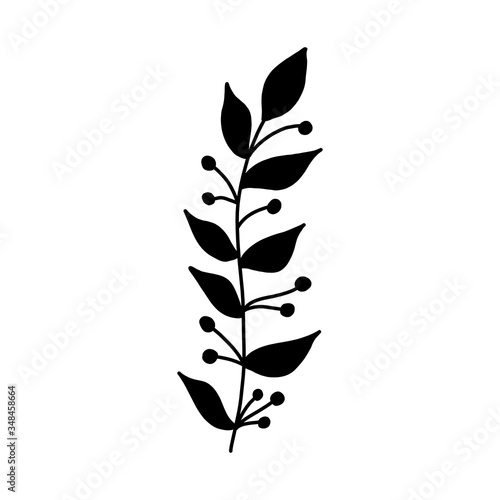 Black tropical leaf silute on an isolated white background. Botanical tree branches, palm leaf on the stem. Spring summer leaf. Concept design logo icon for the application. Vector illustration.